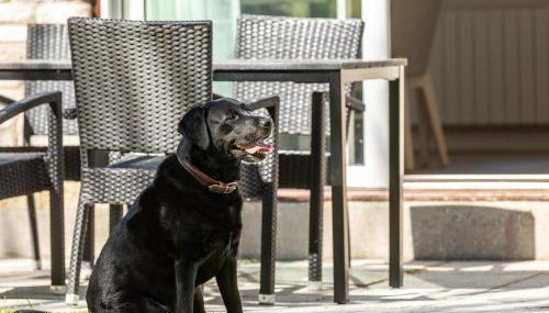 2 Bed in Saltash oc-87705 - Foto 3, Other