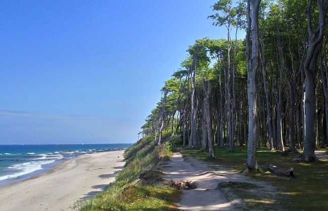 Schatje in het Huis Pamir - Foto 13