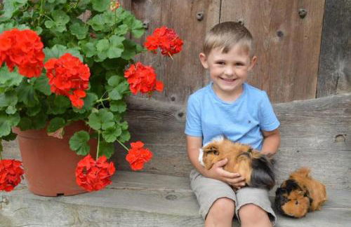 Ferienhof Altmann - Foto 39