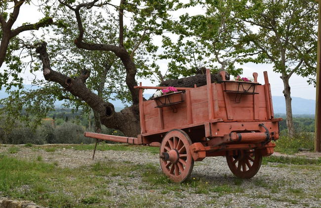 Agriturismo La Posta Reale - Foto 32