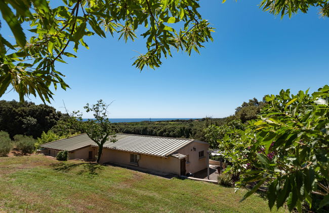 Maison Gerard - Photo 23