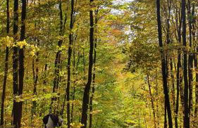 Apartament Pod Skarpą z balią Wieżyca - Foto 8
