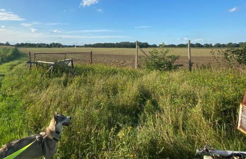 Gasthaus Bomsdorf - ruhige Lage, free WLAN & Parken, Self Check-In, Smart-TV - Foto 23