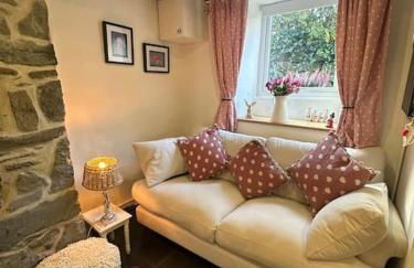 Love Lane Cottage Dolgellau - Foto 17