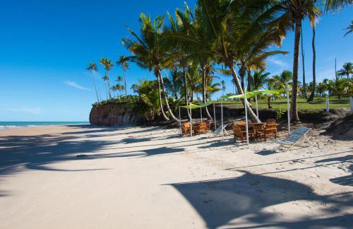Paraíso da falésia em Cumuruxatiba com vista excepcional - Photo 27