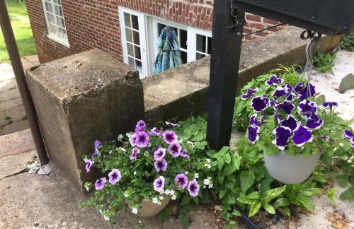 Historical District 2BDRM built in 1910 - Foto 11