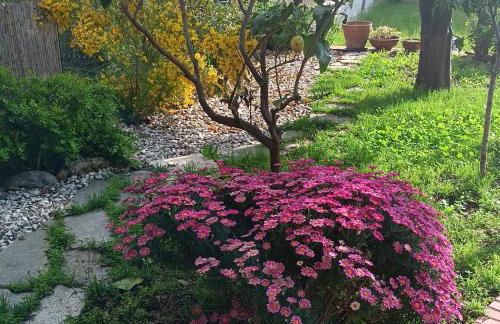 Ninfea Apartment Superior - Foto 34