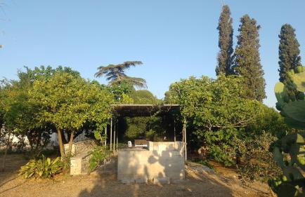 Agriturismo Villa Coluccia - Foto 23