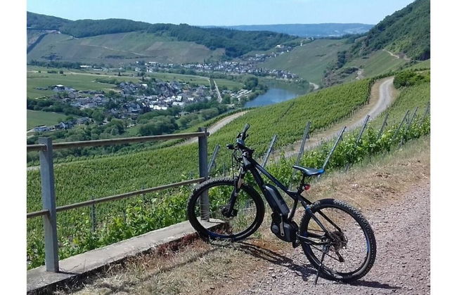 Holiday Apartment Moselle Beach 1 - Photo 4