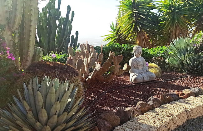 Finca Aurora - Cozy 1-bed Apartment - Foto 1