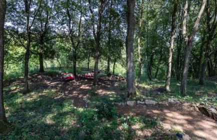 Villa Rinaldi 6 in Carpineta - Foto 72