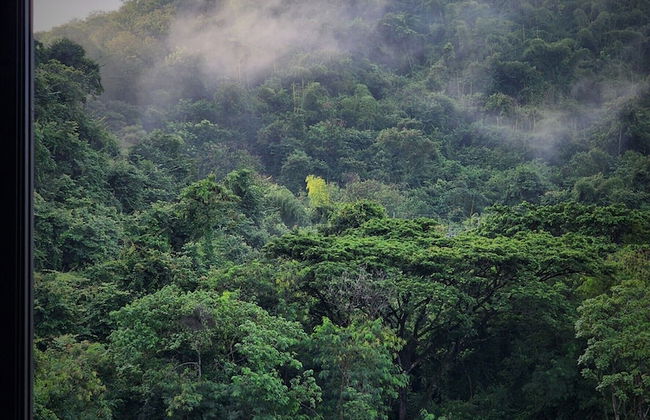 Oabkod khaoyai at forest khaoyai - Foto 52