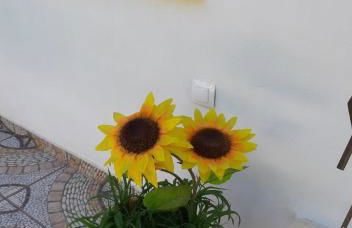 Anna - Maria Luxury Suite - Photo 43