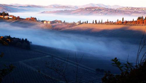 La Colombara - Fra i colli a 5 minuti dall'autodromo - Foto 5, Garden view