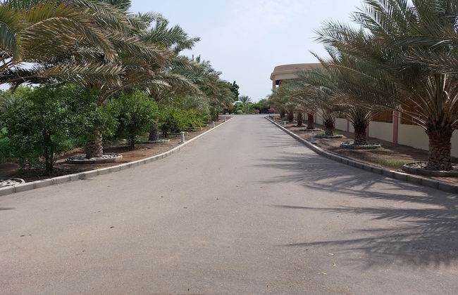 Asahalah Farm Villas - Photo 49