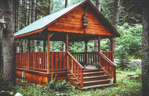 Elk Crossing Cozy Cabin at Crystal Mountain home - Foto 25