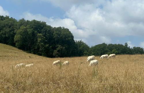 les gîtes de la côte - Foto 22