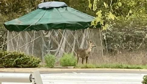 Oasis du Quercy - Foto 5