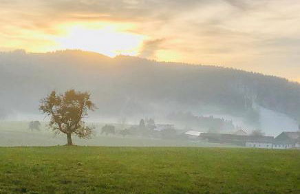 Apartment mit Blick ins Grüne - Foto 33