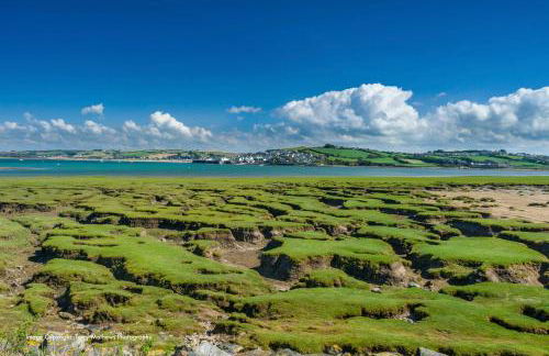 Catboat Cottage - Foto 30