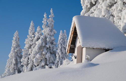 Wohnung Hochalm - Foto 12