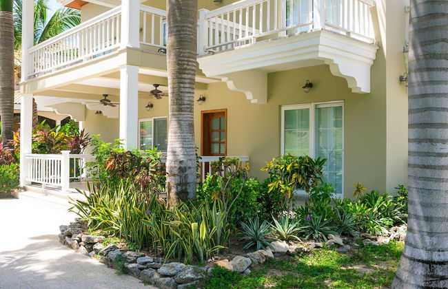 Lawson Rock - Angelfish 100 - Foto 23