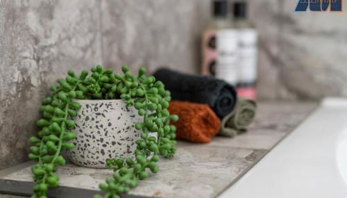 Mount Pleasant Haven - Foto 5