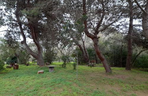 Casetta MaCa fronte mare - Foto 73