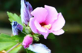 Domaine en Terre Happy - Foto 91