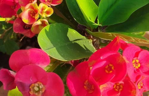 Profumo di Mare 2 - Foto 16