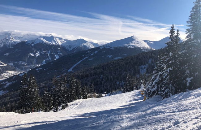 Schubert-Franz Top 12 - Foto 33