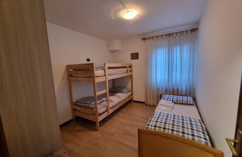 Stella alpina - Foto 8