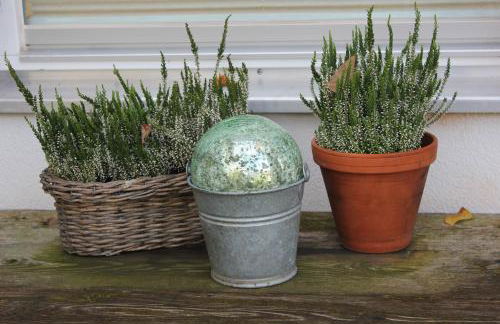 Ferienwohnungen Almrausch - Foto 31