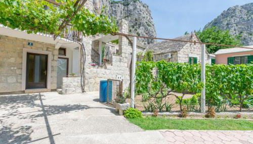 Apartments Petea Omis - Photo 2, Garden