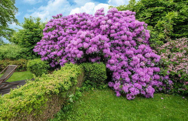 Aubepine Holiday Home in Sart Jalhay - Foto 38