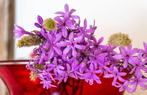 Quiet stone house near Plakias - Foto 3