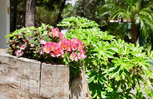 Top Apartment in Los Jardines de las Golondrinas - Photo 10