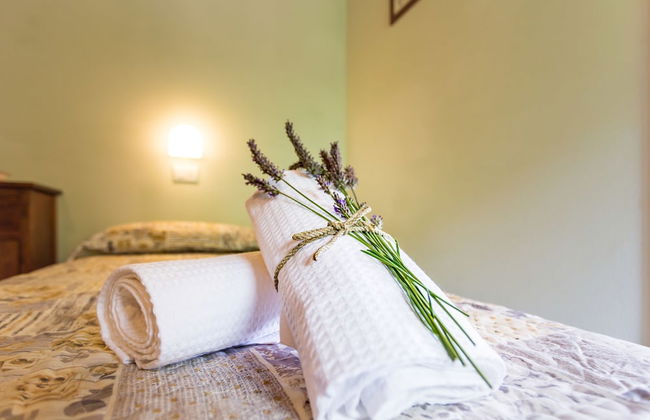 Piedimonte - Foto 12