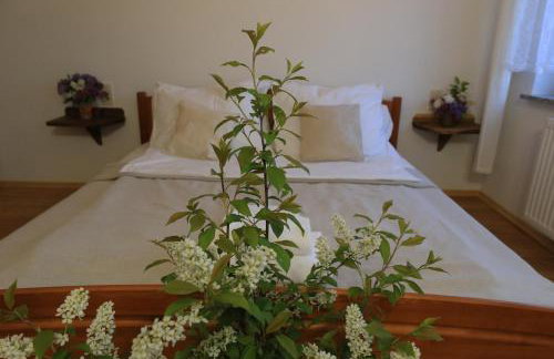 Agroturystyka Sikorki - Foto 15