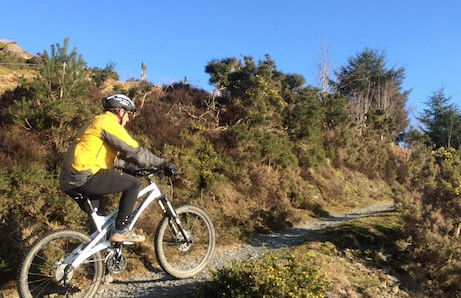 Bronfelin & Troed-y-rhiw Holiday Cottages - Foto 33