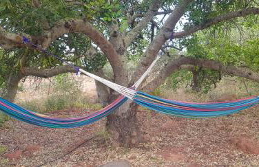 Quinta da Fornalha - Santuario Agroecologico - Foto 79
