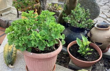 Ático con terraza - Foto 38