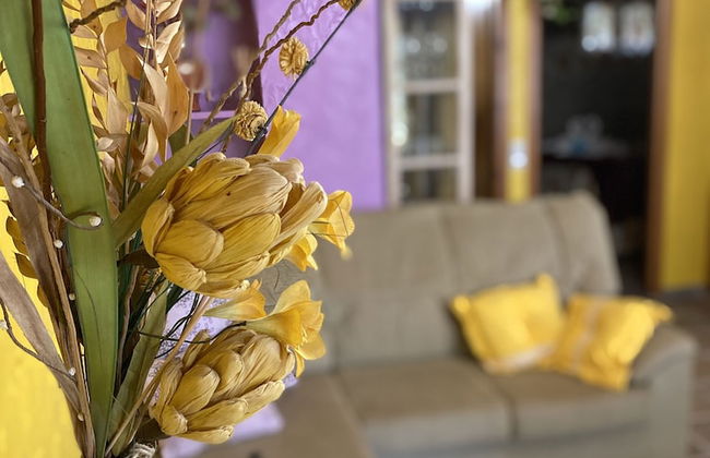 Lo Racó de Peret - Foto 69