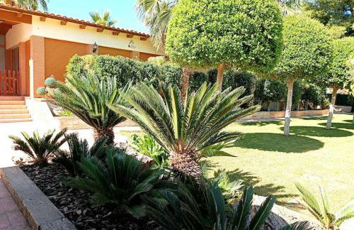 Elche Alicante ideal familias Piscina Barbacoa - Foto 41