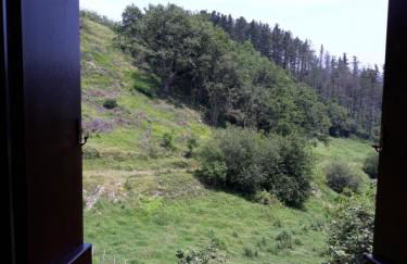 Agroturismo Sidreria Txindurri Iturri - Foto 68