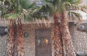 Fischer Haus - Foto 1