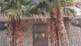 Fischer Haus - Foto 1