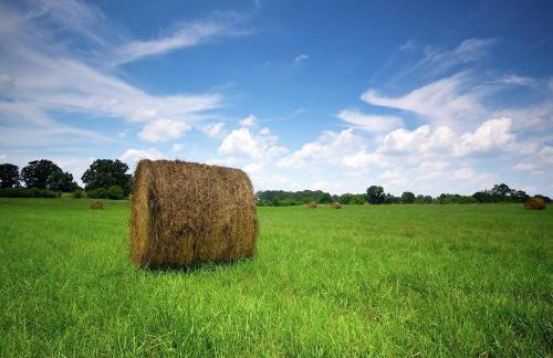 Holiday Home Vagney near Ski Gérardmer - Photo 28