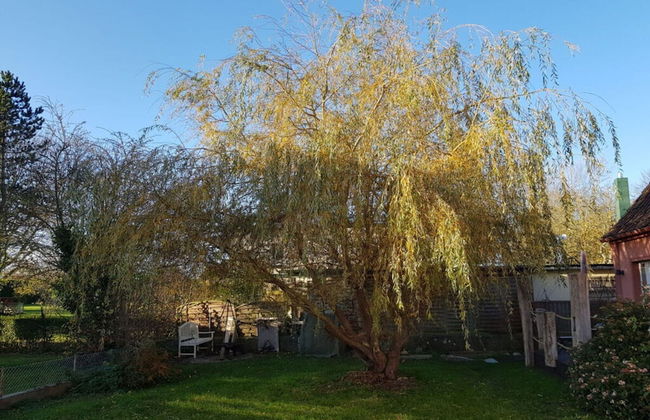 Swallow's Nest in the House by the Pond - Foto 17