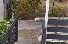 Studio Angelos Skala Fourkas - Photo 6